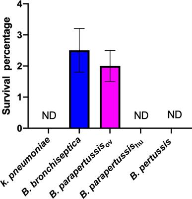 Natural History and Ecology of Interactions Between Bordetella Species and Amoeba